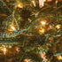 33ft 100 Green Convenience Christmas Lights LED Battery String Lights with Timer Memory Function USB or Battery Powered