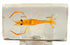 72mm Real Shrimp Oriental Freshwater River Prawn in Crystal Clear Lucite Resin Specimen Preserved Macrobrachium