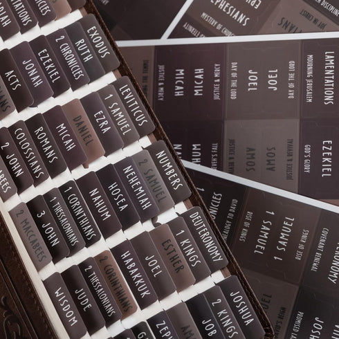 UPAFEXXI-Laminated Bible Tabs with Book Summaries, Bible Tabs for Women and Men,