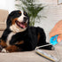 Pet Hair Remover for Carpet, Deep Clean Tool for Lint and Hair, Pro Pet Hair Removal Shaver for Furniture and Rugs
