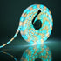 IP65 3500K 16.4ft 300leds 5050 SUPERNIGHT RGBWW LED Strip Light Waterproof RGB Color Changing Rope Lighting with Warm
