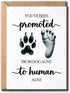 HoHi93Art Promoted From Dog Aunt To Human Aunt Card - Dog - Pregnancy