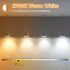 Brightever 4-Pack Vintage LED Edison Bulbs, 6W ST58, 60W Equivalent, 2700K Warm White, Clear Glass Style
