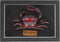 Liyoakyo Real Crab Taxidermy Framed Preserved Specimen for Coastal Wall Decor, Beach Home