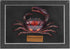 Liyoakyo Real Crab Taxidermy Framed Preserved Specimen for Coastal Wall Decor, Beach Home
