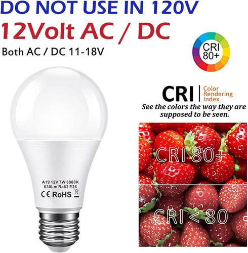 12V LED Light Bulb 60Watt Equivalen E26 7W 630Lm 12 Volt Low Voltage Lights AC/DC 11-18V A19-12volt RV Marine Boat Landscape Lighting-6 Pack(6000K Daylight White) by BAYSHE