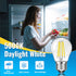 Blakapoo G45 Bulb 4W (40 5000K Bulb, E26 Bulbs Non-Dimmable, 2 Pack LED Edison Filament Watt Equivalent), Daylight LED