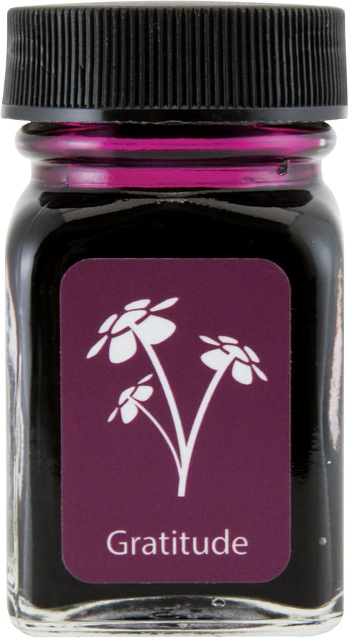 MONTEVERDE Bottle Ink – 30ml, Gratitude Magenta (G309GM)