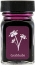 MONTEVERDE Bottle Ink – 30ml, Gratitude Magenta (G309GM)
