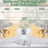 Clear Christmas Lights 25FT 100 Incandescent Bulbs Warm White Mini Lights with White Wire for Christmas Tree, Garland, Thanksgiving, Wedding, Party, Home, Indoor & Outdoor Festival Decoration by CXLHO