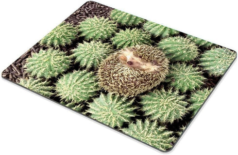 Smooffly Custom Gaming Mouse Pad - Animals Plants Hedgehogs Cactus Thorns Design