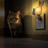 1-Pack 7W 3000K KY&BOSAM Stained Glass Cat Night Lights Plug into Wall Plug in Night Light Dusk to Dawn Warm White