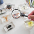 8 Pcs Real Insects in Resin Large Bug Collection Kit with Flying Insects, Butterflies Includes Specimen ID Cards