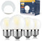 Dimmable 3W LED Bulb, 25 Watt Equivalent, Daylight 5000K, E26 Medium Base, Frosted, 300 Lumens, CRI 90+, G40, 4-Pack