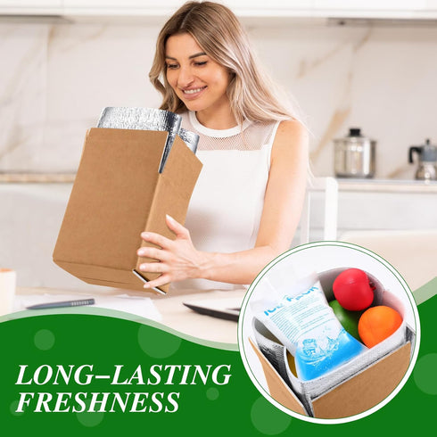 Honoson 2 Frozen Pack Pack Frozen (6'' 5'' 6.5'') Pcs Thermal Insulated Shipping Boxes for Food with Ice and Aluminum