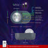 (65277) Enbrighten Galaxy Star Projector Multi-Color Aurora Nebula Space Lamp with Sleep Sounds and White Noise USB