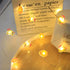 78.74 inch 20 Bulbs, Chick and Egg Shaped String Lights Indoor, Easter String Lights with Easter Decorations, Easters