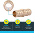 SharkBite 1/2 Inch Crimp Coupling, Pack of 10, Brass Plumbing Fitting for PEX Pipe