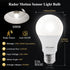 DiCUNO Radar Motion Sensor Light Bulbs Outdoor, 12W (100W Equivalent), Motion Sensor Bulb Auto On/Off, Daylight White 5000K, 1100 LM, A19 E26 Indoor/Outdoor Lighting for Front Porch Garage, 2-Pack by DiCUNO