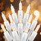 Brightown 50 Count Warm White Christmas Lights, Clear Mini Incandescent Lights on