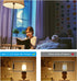 T45 Frosted LED Light Bulb, 40 Watt Equivalent, 2700K Warm White, 4W Tubular T14 E26 Dimmable Bulbs for Ceiling