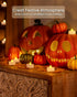 LED Candles, 24-Pack Battery Operated Tea Lights, 200 Hours Long-Lasting Flameless Flickering Candles, Warm Yellow
