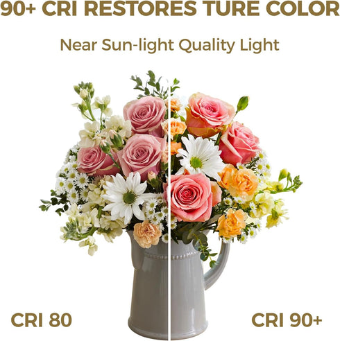E12 Bulbs 60 90+ E12 Bulb Dimmable Bulbs, 6W 550LM 5000K CA11, Listed,1 Pack Hizashi Candelabra watt Equivalent, CRI