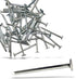 2-Inch Galvanized Roofing Nails, Professional Grade for Fastening Roofing Felt, Asphalt Singles, 250 Count