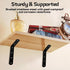 Luomorgo 4 5 3 Inch, Pcs L Brackets for Shelves, Heavy Duty Stainless Steel L Shaped Bracket, Decorative Corner Brace