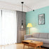 Zelphvt 4 Pcs Ceiling Hooks for Hanging Lights Black Light Hanging Hooks Metal Swag Hook for Pendant Light Hook DIY