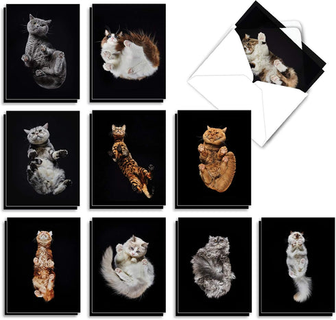 The Best Card Company - 20 Adorable Cat Greeting Cards (4 x 5.12 Inch) - Blank Assortment (10 Designs, 2 Each)