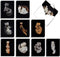 The Best Card Company - 20 Adorable Cat Greeting Cards (4 x 5.12 Inch) - Blank Assortment (10 Designs, 2 Each)