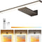 Picture Light for Wall Rechargeable Art Light with Remote, 3 Colors &