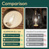 6 Pack Bulbs 100 800LM Dimmable Bulb, E12 5000K B11 5.5W, ALAMPEVER Chandelier Light Watt Equivalent, Bright LED Light