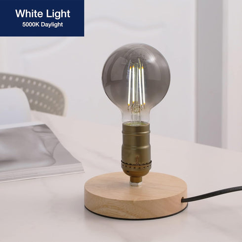 FLSNT Globe LED Edison Bulbs, 5000K Daylight, 4W (40W Equivalent), E26 Base, 300LM, Smoky Grey Glass, 6 Pack