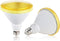 GREENIC Yellow LED Light Bulb, 2 Pack, Par38 15W (100W Equivalent), 1300lm, E26 Medium Base for Outdoor Indoor Use