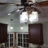 LED Edison Bulb 4W, Antique 40W Vintage E26 Light Bulb, Non-Dimmable, 450 Lumens, 5500K Cold White, 3 Pack