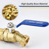 Brass 3/4" Hose Bibb, 3/4" Male NPT x Garden Hose Thread, Lead-Free Compliant, Ideal for Gardens and Patios