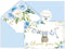 SMUAENSS 24 Pack Blue Rose Baby Shower Thank You Cards, Boy Baby Gift