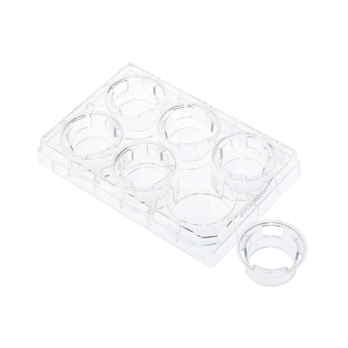 Permeable Cell Culture Inserts, Sterile Packed in 6 Well Plate, Hanging, PET, 8.0µm