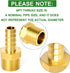 TAISHER 5 PCS Brass Hose Barb Fittings 1/2" (12.7mm) Barb x 1/2" MNPT Pipe Adapter with 5 Hose Clamps