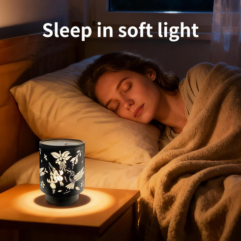 Bulb (Hummingbird) Battery Operated Table Lamp, Cordless Lamps for Home Dcor, Nightlight with LED with Timer for Living