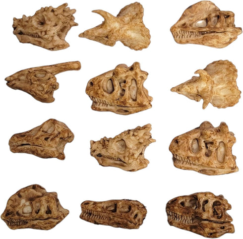 Dinosaur Heads Fossil Pencil Tops - 48 Pack Rubber Dino Toppers for Party Favors, Classroom Incentives Back to School
