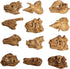 Dinosaur Heads Fossil Pencil Tops - 48 Pack Rubber Dino Toppers for Party Favors, Classroom Incentives Back to School