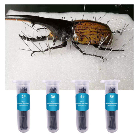 350 Pcs Stainless Steel Insect Pins in 7 Sizes, Specimen Entomology Pins for School Lab Butterfly Collectors with Vials