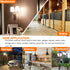 LUXON Radar Motion Sensor Light Bulbs, Dusk to Dawn LED Bulbs, 5W 6000K Cool White, A19 E26 Base, Pack of 2.