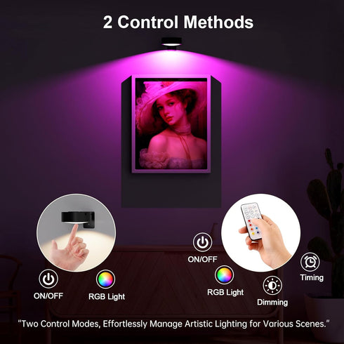 Narotood 3 Pack 13 3 Picture Lights for Wall, RGB Color Rechargeable Battery Operated wall lights, Picture Frame lights