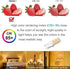 KAPATA G9 Bulb, Dimmable 40W T4 G9 Bulb Pack 5 LED Halogen Equivalent, Soft White , Energy saving No Flicker