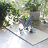 CUTE POPUP 3D T-Rex Dinosaur Pop Up Card - Handmade Greeting Card for Father's Day, Birthday, Kids Dino Lovers (6x6