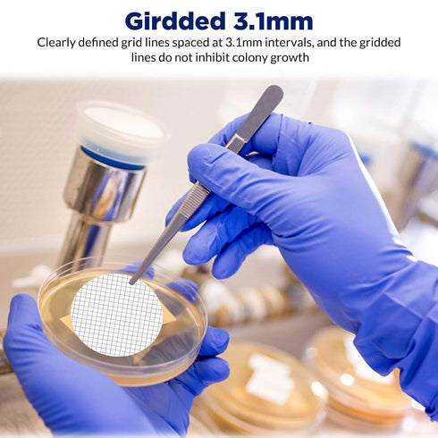 Membrane Solutions MCE Gridded Membrane Filter - Sterile Individual Pack Membrane Disc Filter, 47 mm Diameter, 0.45 um